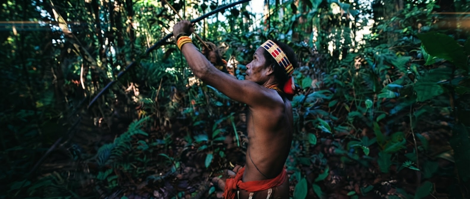 Hutan hujan tropis